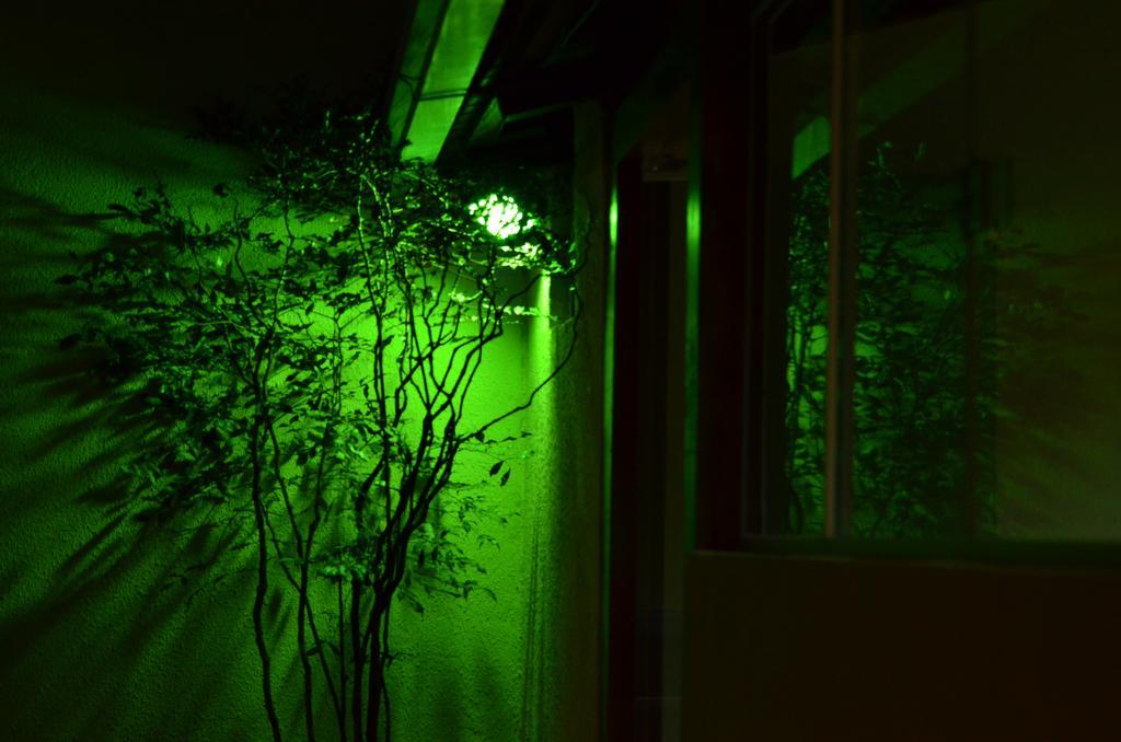 Hostel Rua Direita Pirenópolis Exteriör bild